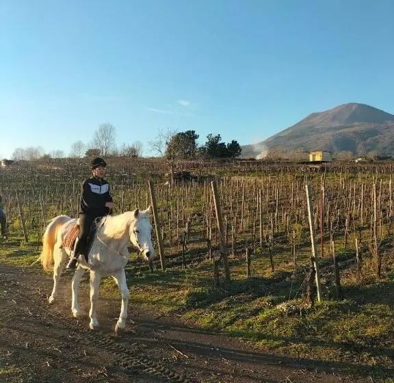 デラックスジュニアスイート, Vesuvio Inn Bed & Wine Experience