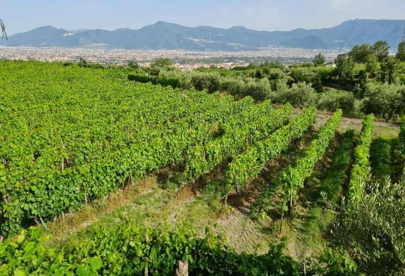 סטודיו סטנדרט עם נוף, Vesuvio Inn Bed & Wine Experience