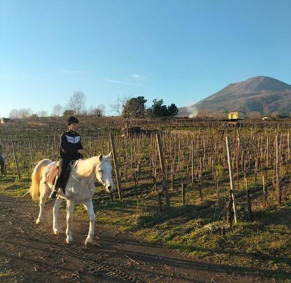 סוויטת ג'וניור, Vesuvio Inn Bed & Wine Experience