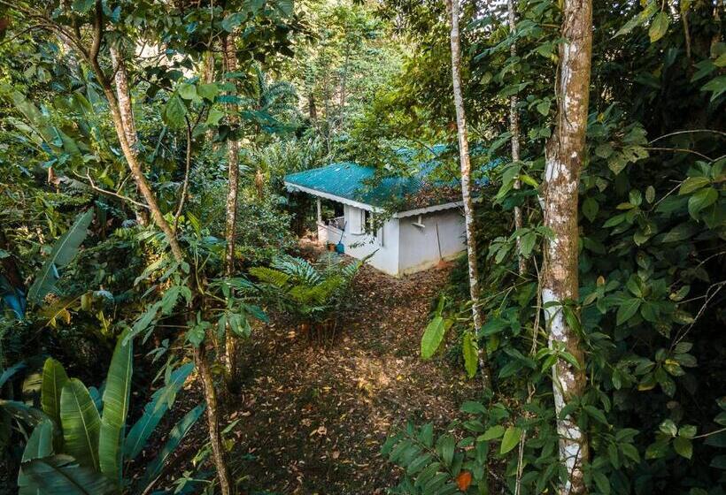 וילה בת חדר שינה 1, Colina Secreta   Glamping And Villas