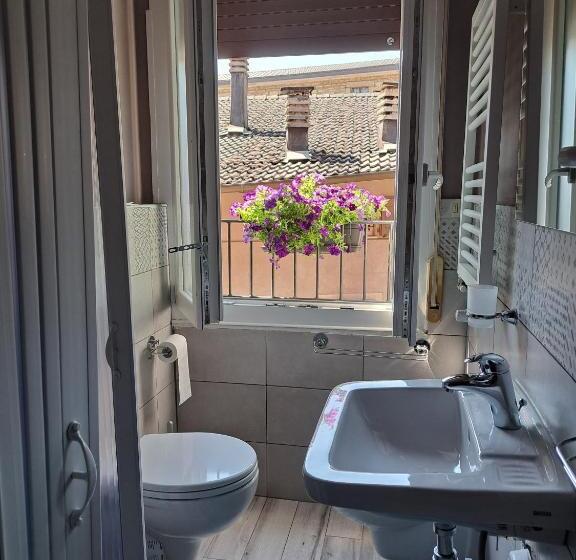 غرفة أساسية, Bologna