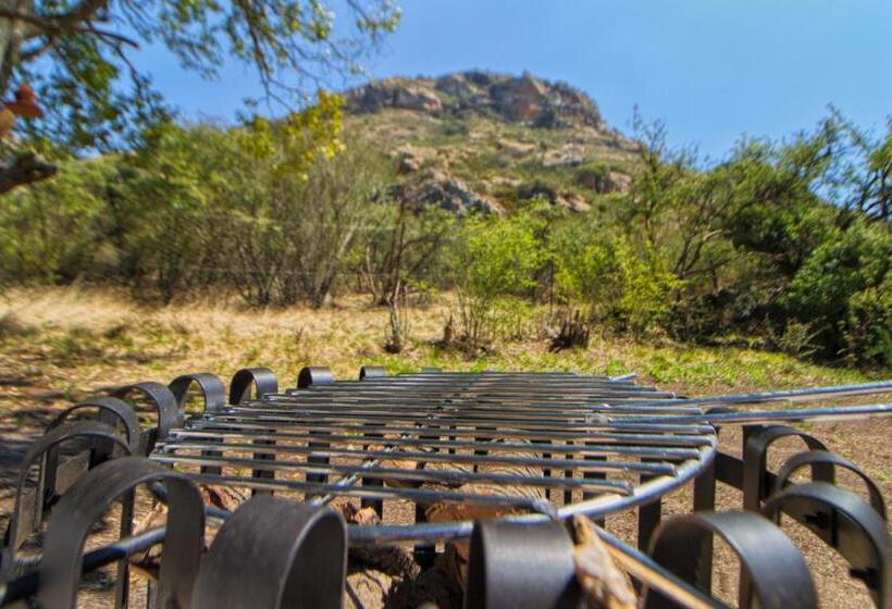 اتاق استاندارد با تخت بزرگ, His Vessel Guesthouse Clarens Fs