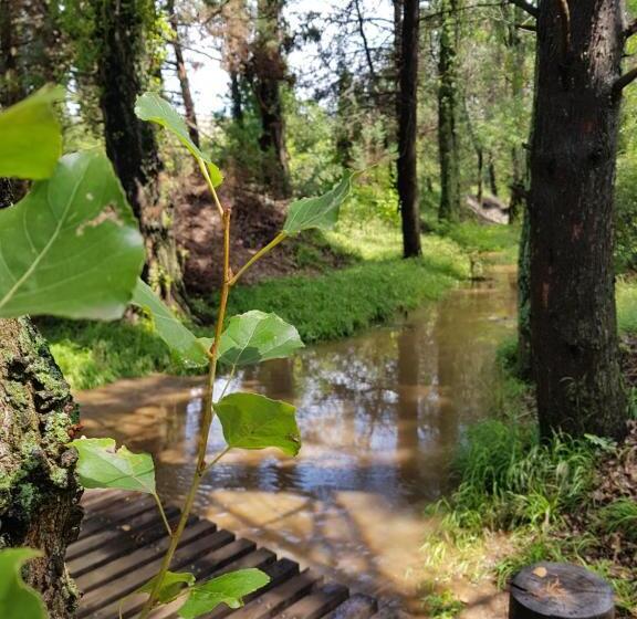 اتاق لوکس خانوادگی, His Vessel Guesthouse Clarens Fs