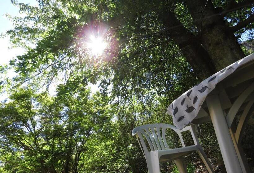 اتاق لوکس خانوادگی, His Vessel Guesthouse Clarens Fs