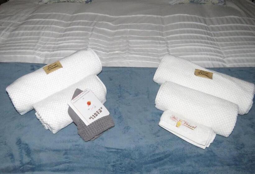 استودیوی استاندارد, His Vessel Guesthouse Clarens Fs