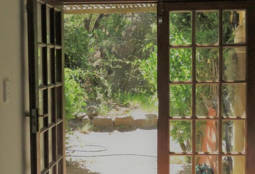 استودیوی استاندارد, His Vessel Guesthouse Clarens Fs