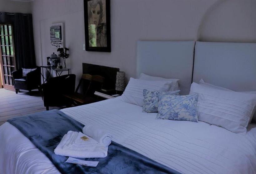 استودیوی استاندارد, His Vessel Guesthouse Clarens Fs