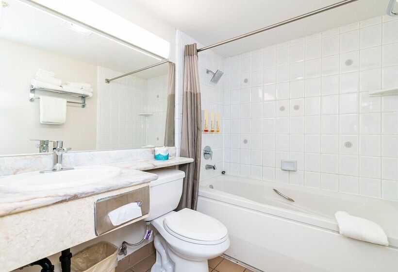 غرفه قياسيه سريرين مزدوجين, Art Hotel Laguna Beach