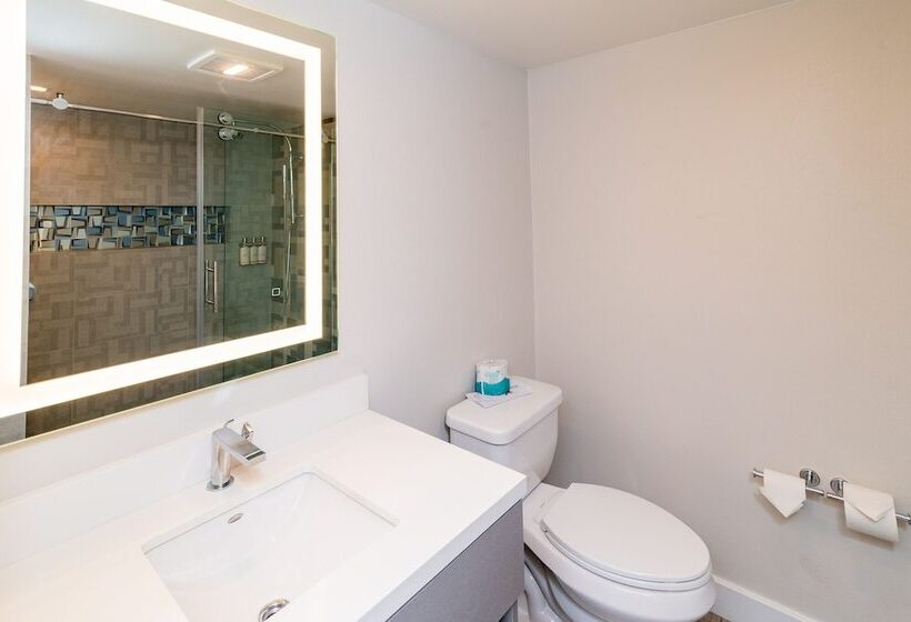 غرفه قياسيه سريرين مزدوجين, Art Hotel Laguna Beach