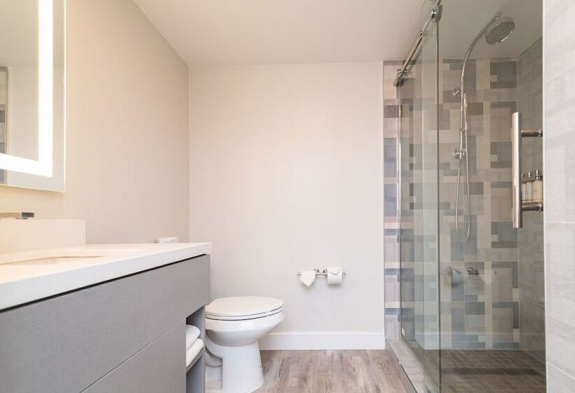 غرفه قياسيه سريرين مزدوجين, Art Hotel Laguna Beach