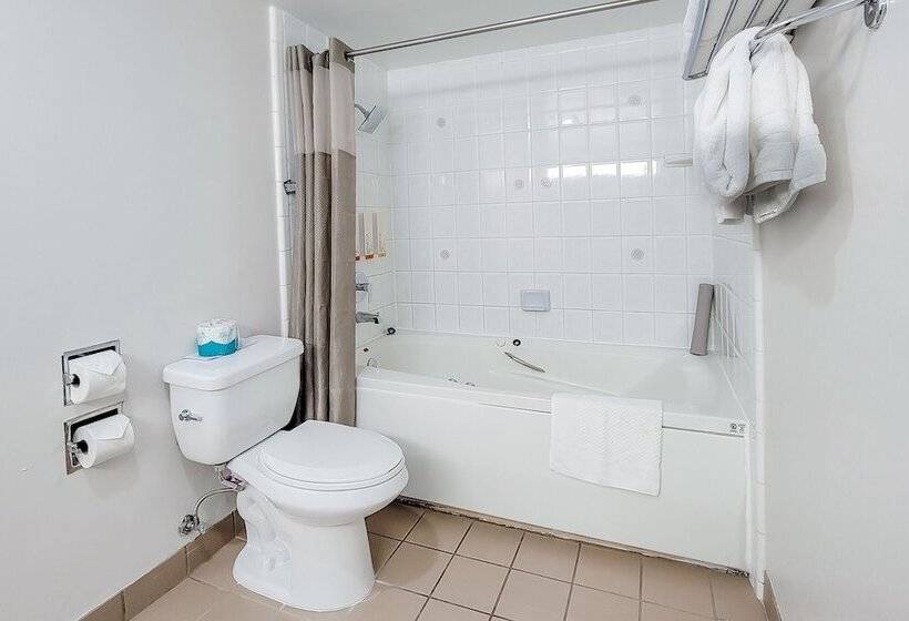 غرفه قياسيه سريرين مزدوجين, Art Hotel Laguna Beach