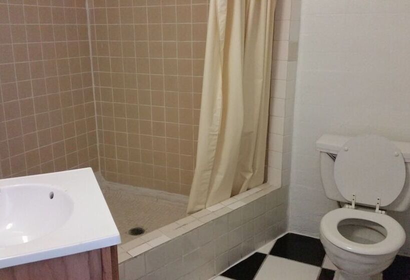 스탠다드 룸 더블 침대 2개, Essex House Motel