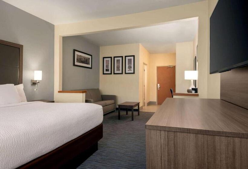 장애인용 디럭스룸, Wingate By Wyndham Appleton