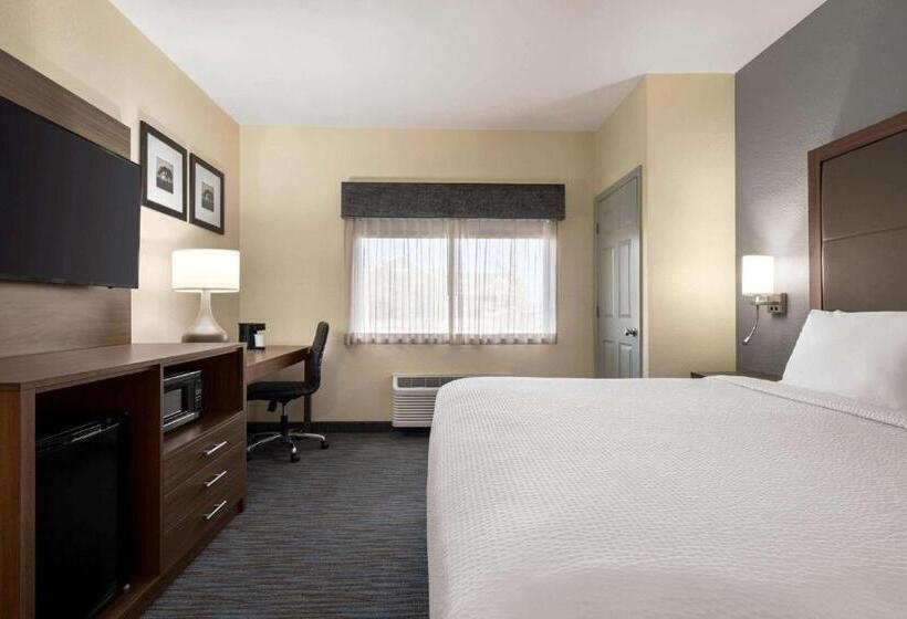 스탠다드 룸 킹사이즈 침대, Wingate By Wyndham Appleton