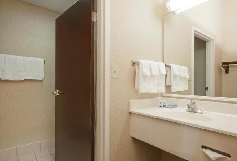 스탠다드 룸 킹사이즈 침대, Wingate By Wyndham Appleton