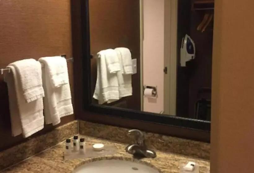 身障者適用キングサイズベッドルーム, Country Inn & Suites By Radisson, Phoenix Airport, Az