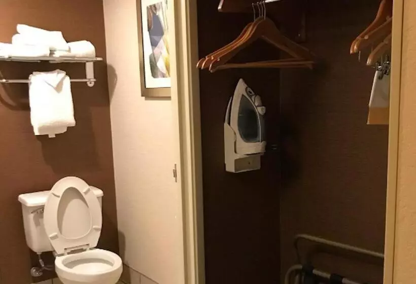 キングサイズベッドのスイートルーム, Country Inn & Suites By Radisson, Phoenix Airport, Az