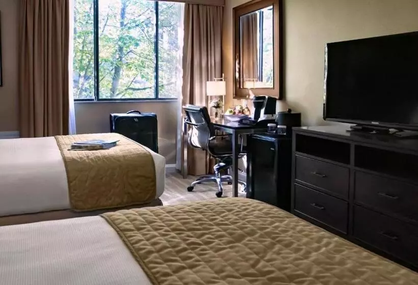 スタンダードルーム, Ethan Allen