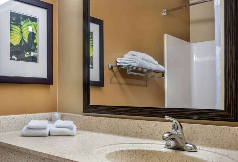 Люкс Адаптированный для Инвалидов, Suburban Studios Columbus North