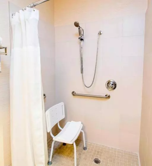 キングサイズベッドのスタンダードルーム, Fairfield Inn Tuscaloosa