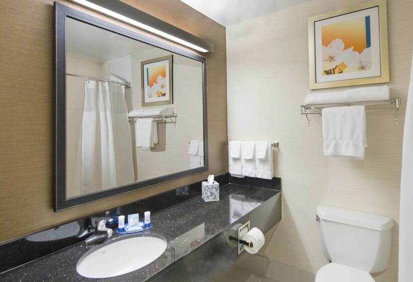 带2个双人床的标准工作室, Fairfield Inn Tuscaloosa