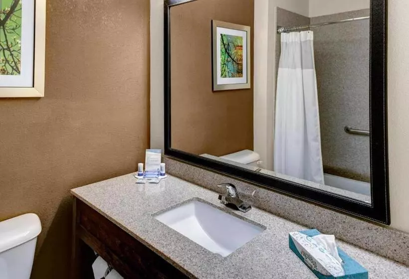 スタンダードルーム, Fairfield Inn By Marriott Dothan