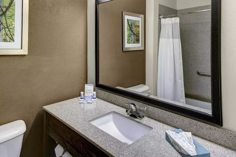 キングサイズベッドのスタンダードルーム, Fairfield Inn By Marriott Dothan