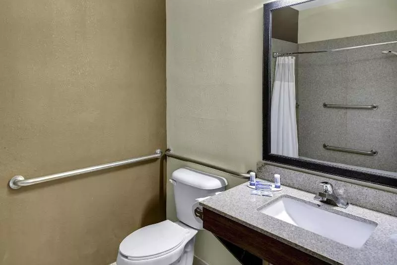 キングサイズベッドのスタンダードルーム, Fairfield Inn By Marriott Dothan