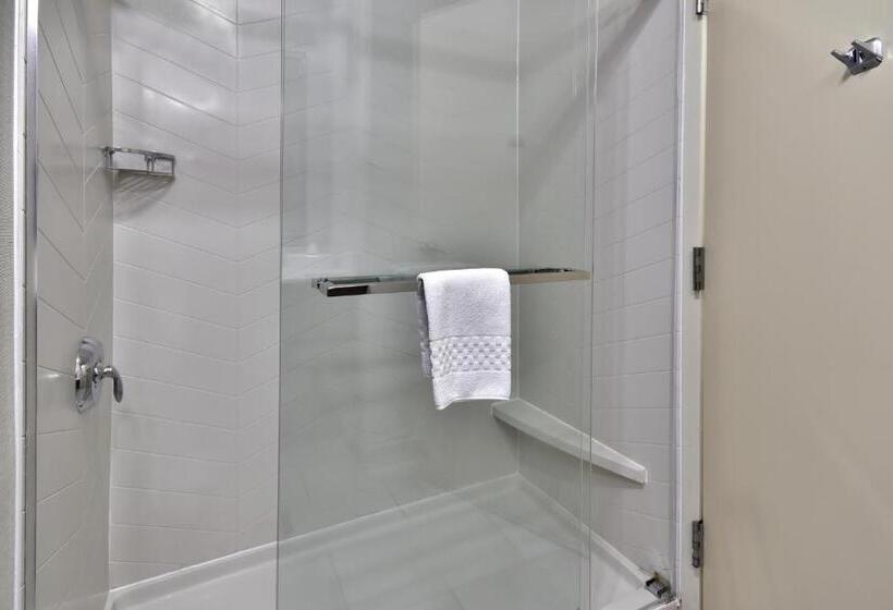 스탠다드 룸 킹사이즈 침대, Fairfield Inn Richmond Chester