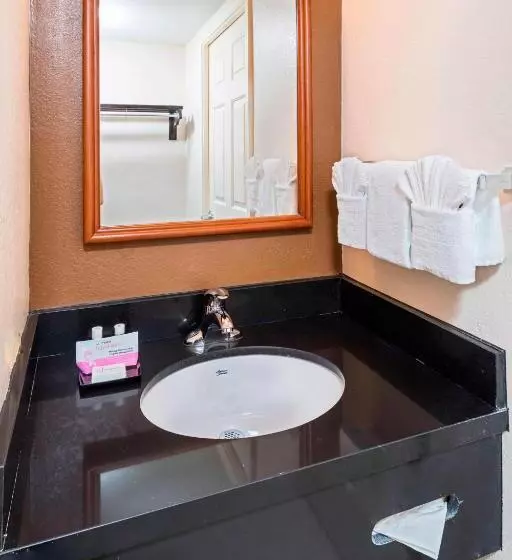 スタンダードルーム, Fairfield Inn & Suites By Marriott Atlanta Perimeter Center