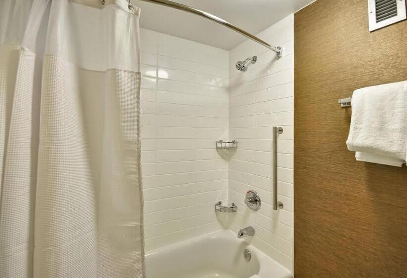 غرفة قياسية لذوى الاحتياجات الخاصة, Fairfield Inn & Suites By Marriott Atlanta Vinings/galleria