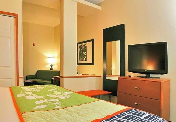 سوئیت با تخت بزرگ, Fairfield Inn Suites Brunswick