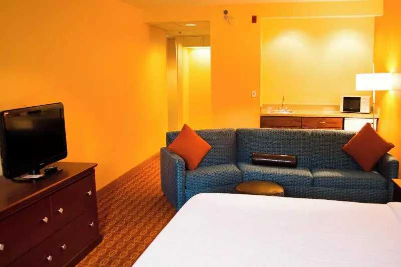 キングサイズベッドのスタンダードルーム, Fairfield Inn By Marriott Lumberton