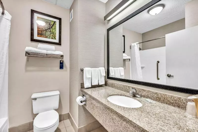 キングサイズベッドのスタンダードルーム, Fairfield Inn By Marriott Lumberton