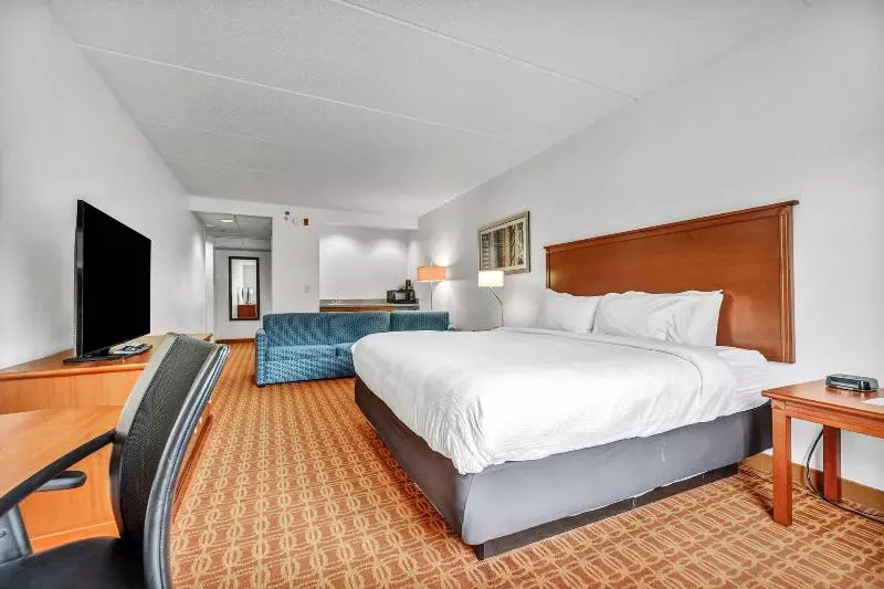 キングサイズベッドのスタンダードルーム, Fairfield Inn By Marriott Lumberton