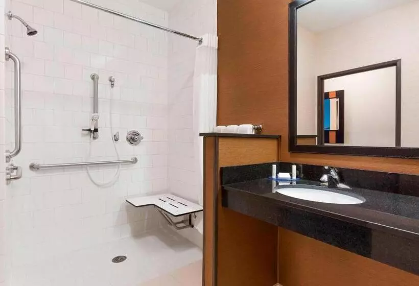 اتاق استاندارد با تخت بزرگ, Fairfield Inn & Suites By Marriott Mankato