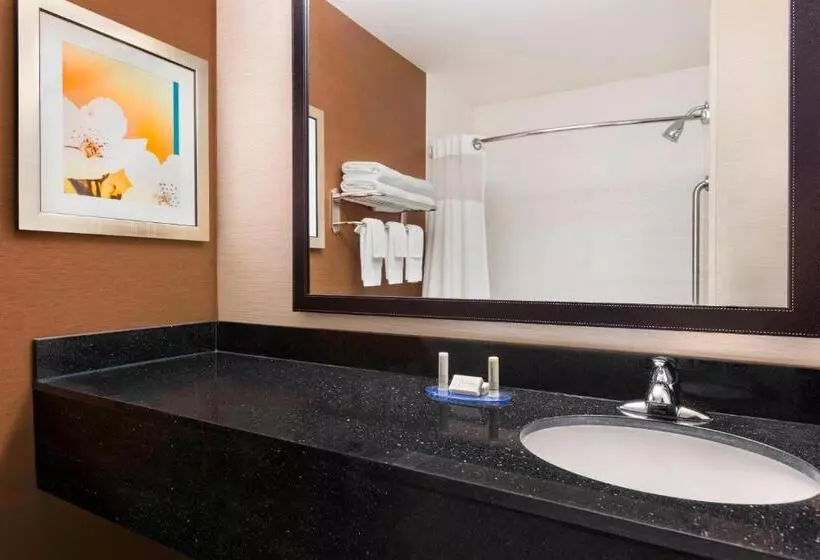 اتاق استاندارد با تخت بزرگ, Fairfield Inn & Suites By Marriott Mankato