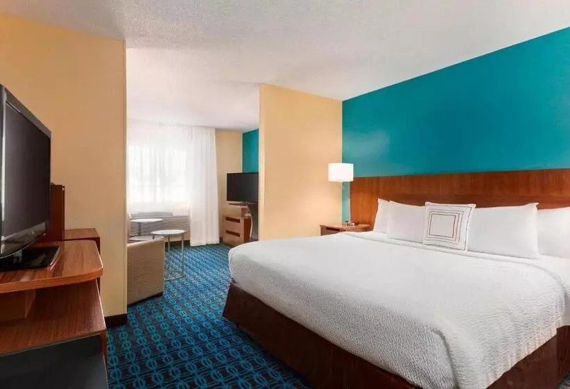 استودیو استاندارد با تخت کینگ, Fairfield Inn & Suites By Marriott Mankato