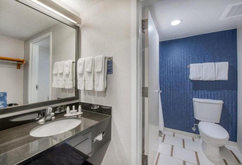 Номер Стандарт Кровать Кинг Адаптированный для Инвалидов, Fairfield Inn & Suites Raleigh Crabtree Valley