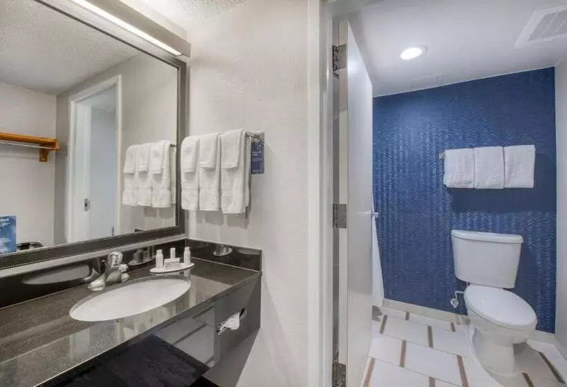 اتاق استاندارد با تخت بزرگ برای معلولان, Fairfield Inn & Suites Raleigh Crabtree Valley