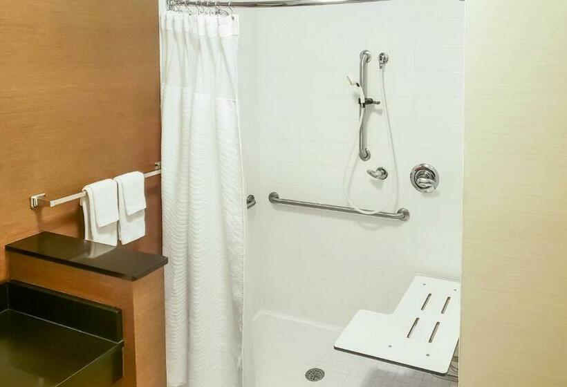 Стандартный Номер Кровать Кинг, Fairfield Inn & Suites Waco South