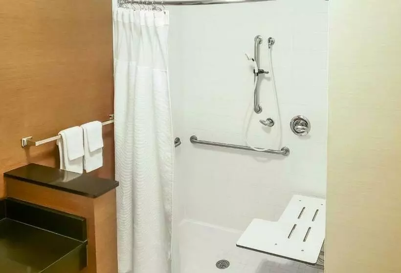 キングサイズベッドのスタンダードルーム, Fairfield Inn & Suites Waco South