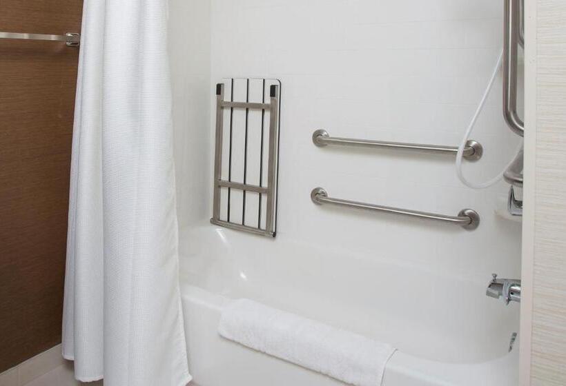 إستوديو قياسى سرير مزدوج, Fairfield Inn & Suites Waco South