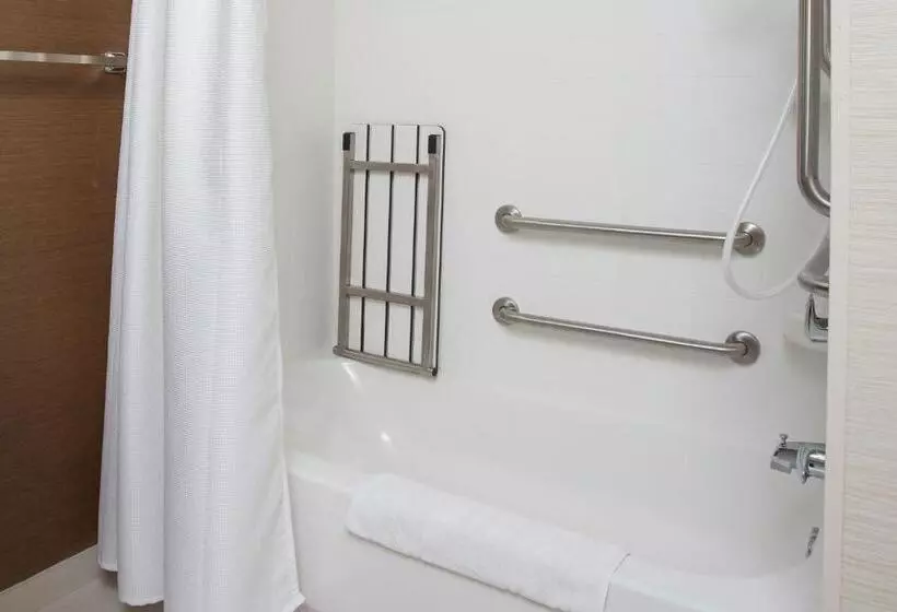 ダブルベッドのスタンダードスタジオ, Fairfield Inn & Suites Waco South