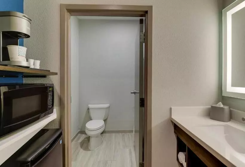 سوئیت با تخت بزرگ, Holiday Inn Express Kenner   New Orleans Airport, An Ihg