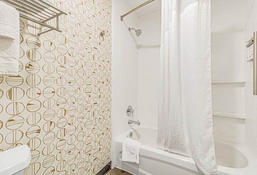 חדר סטנדרט, Holiday Inn Spartanburg Northwest