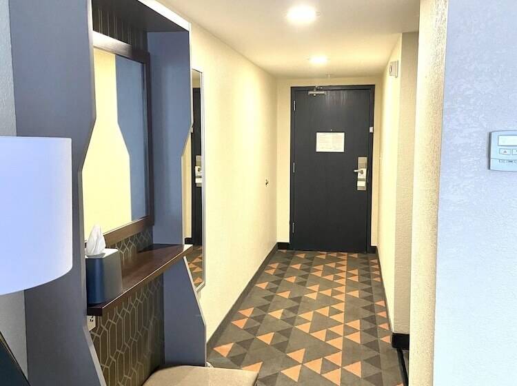 Номер Стандарт Адаптированный для Инвалидов, Holiday Inn Spartanburg Northwest