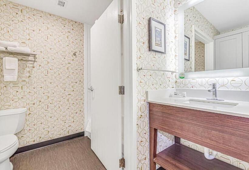 חדר סטנדרט עם מיטת קינג, Holiday Inn Spartanburg Northwest