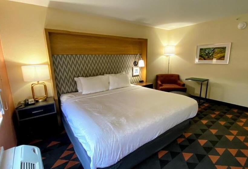 חדר סטנדרט עם מיטת קינג, Holiday Inn Spartanburg Northwest