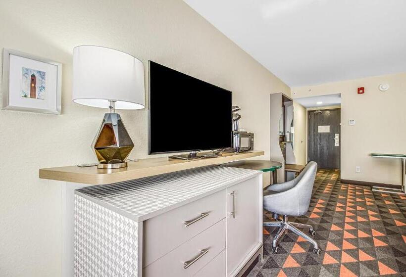 Номер Стандарт, Holiday Inn Spartanburg Northwest